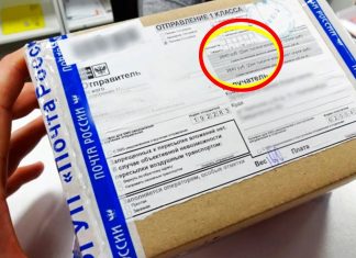 rusinfo пришло смс