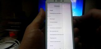 СМС сети Stolitsa что это