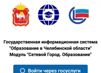 Вход в Сетевой Город. Как войти в Сетевой город Образование через Госуслуги?