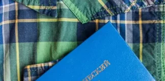 Как получить дополнительные баллы при поступлении в вуз в 2024 году. Какие достижения учитываются