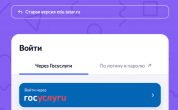 Вход через Госуслуги на ms.edu-tatar.ru краткая инструкция
